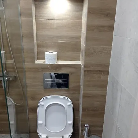 Tidy 索菲亞